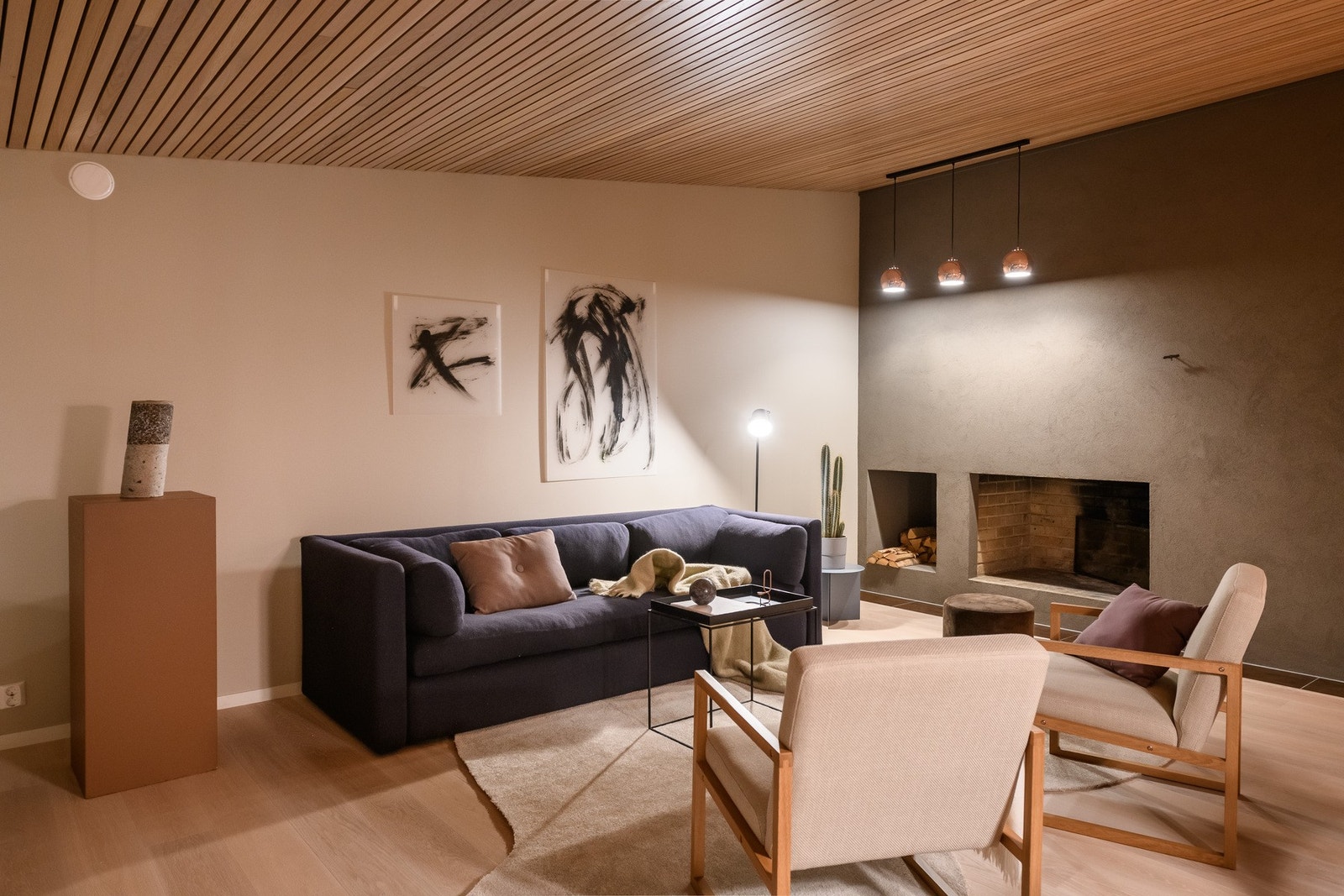 Denne delen inkluderer hele to ildsteder - åpen peis og peisovn. Galleribilde