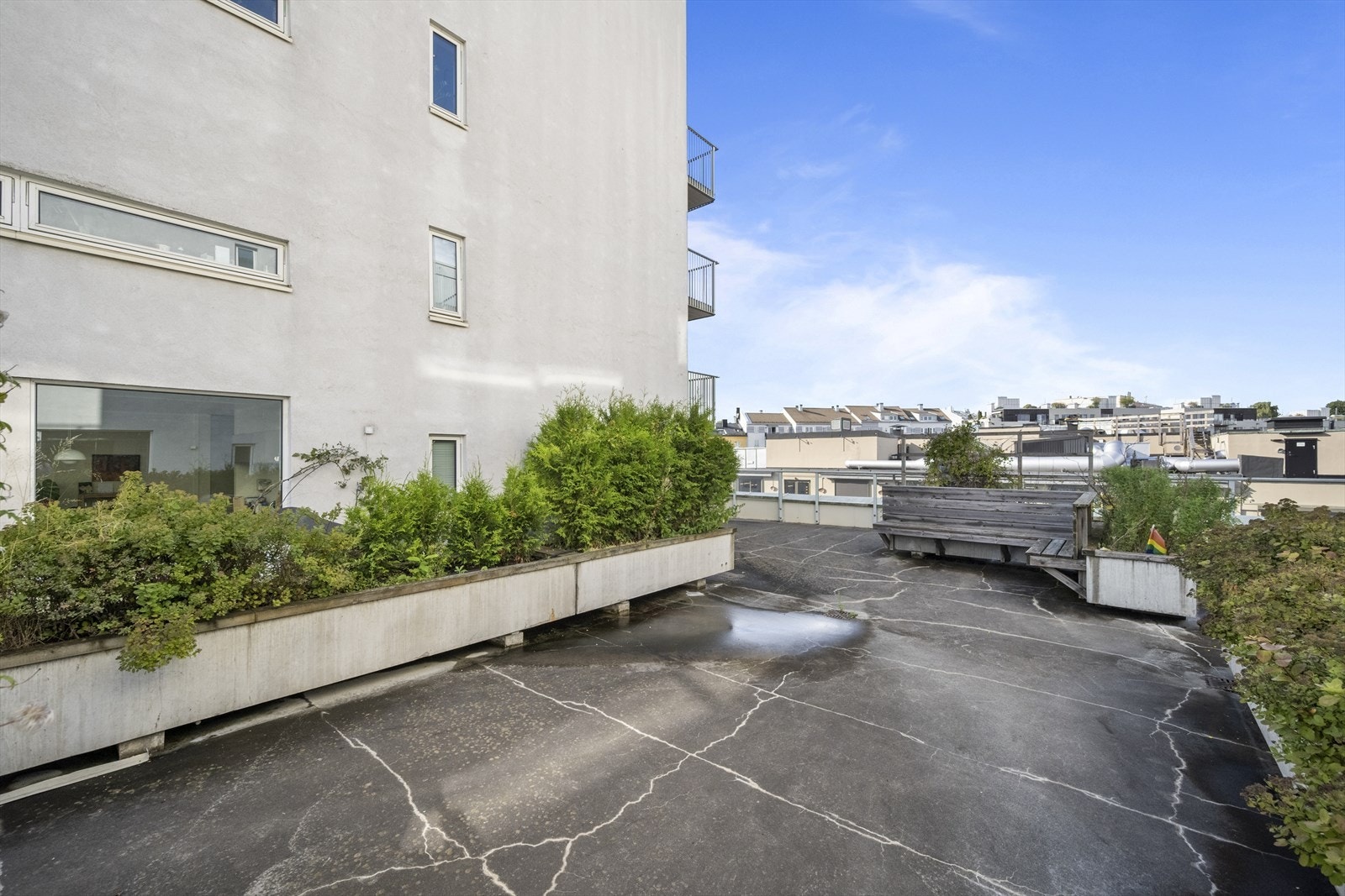 Felles takterrasse med sittegrupper og beplantning Galleribilde