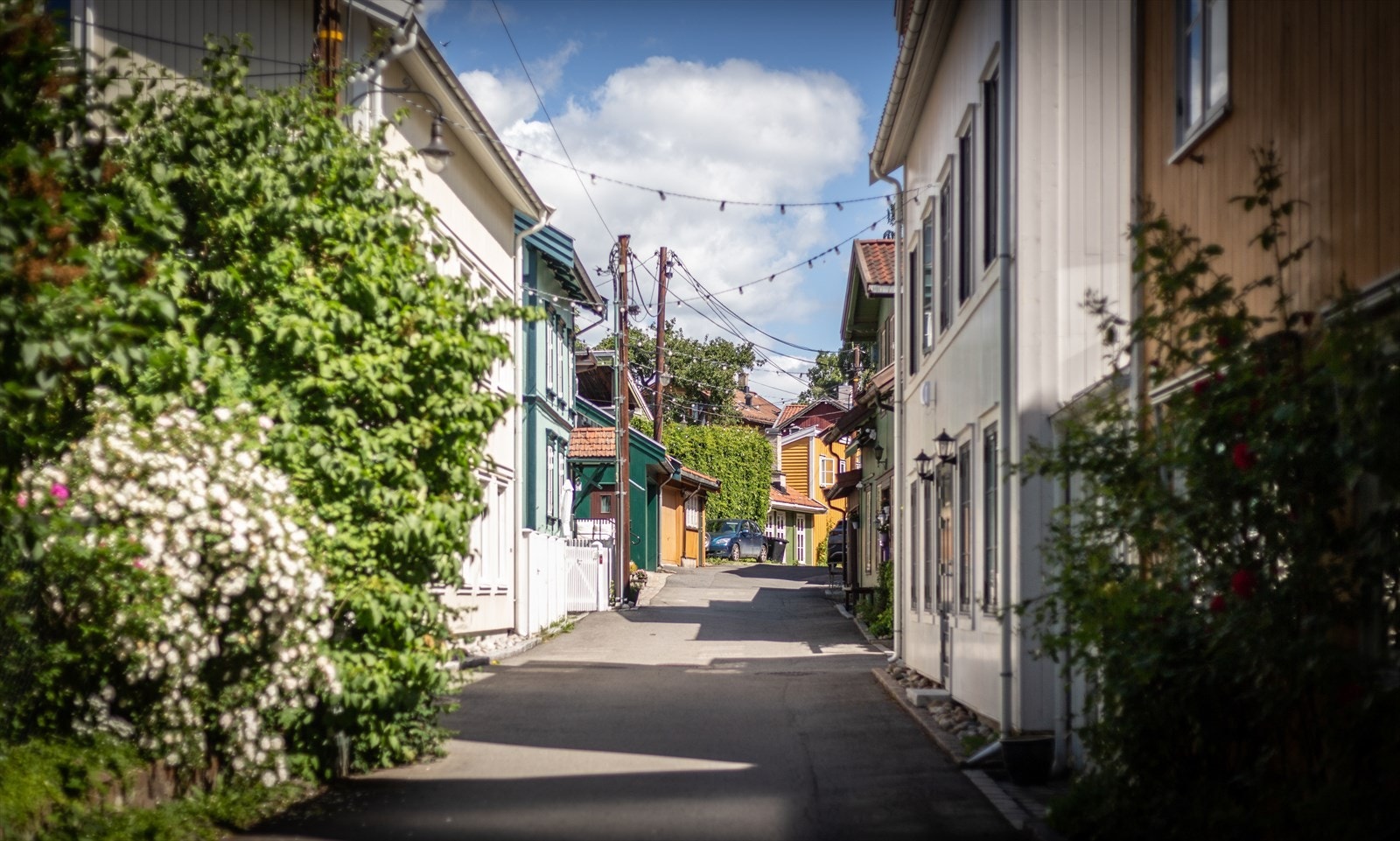 Området har et bred utvalg av tur- og rekreasjonsmuligheter! Galleribilde