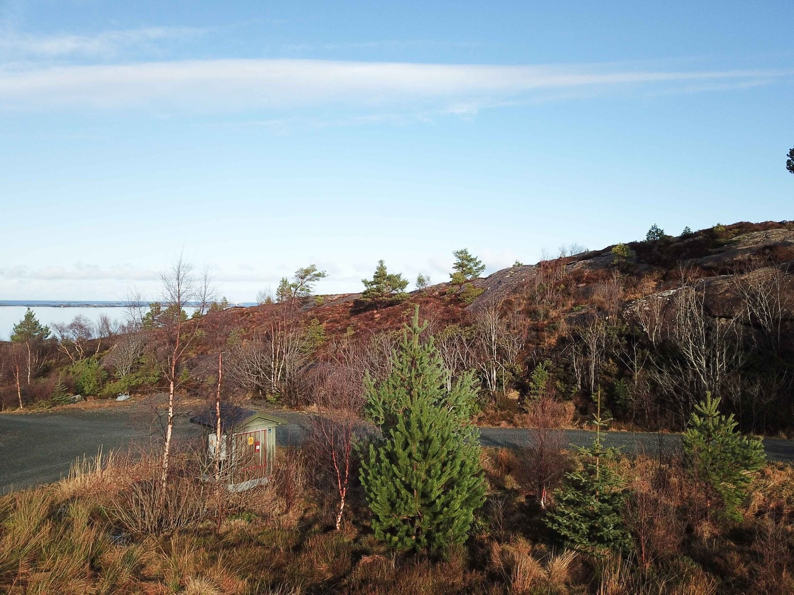 Foto fra tomteområdet Galleribilde