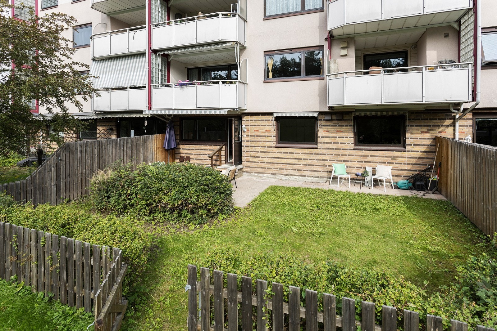 Romslig hagedel. Galleribilde