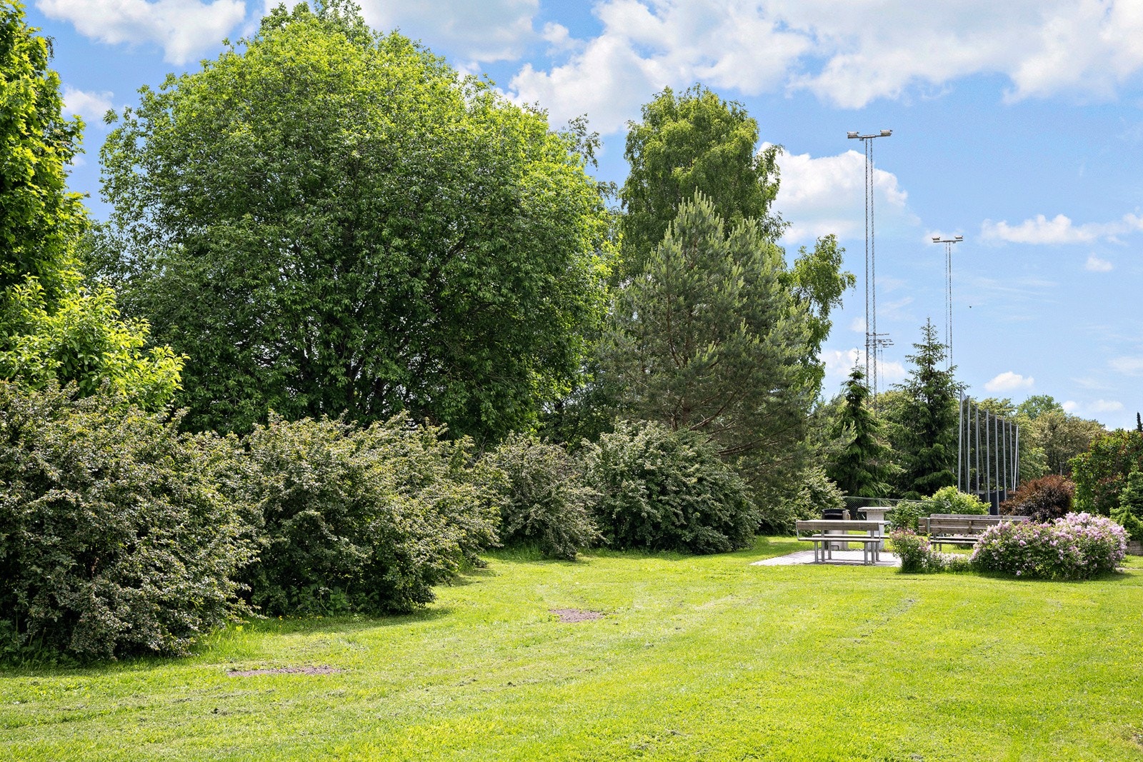 Eller hva med en tur innom Tveita-parken Galleribilde