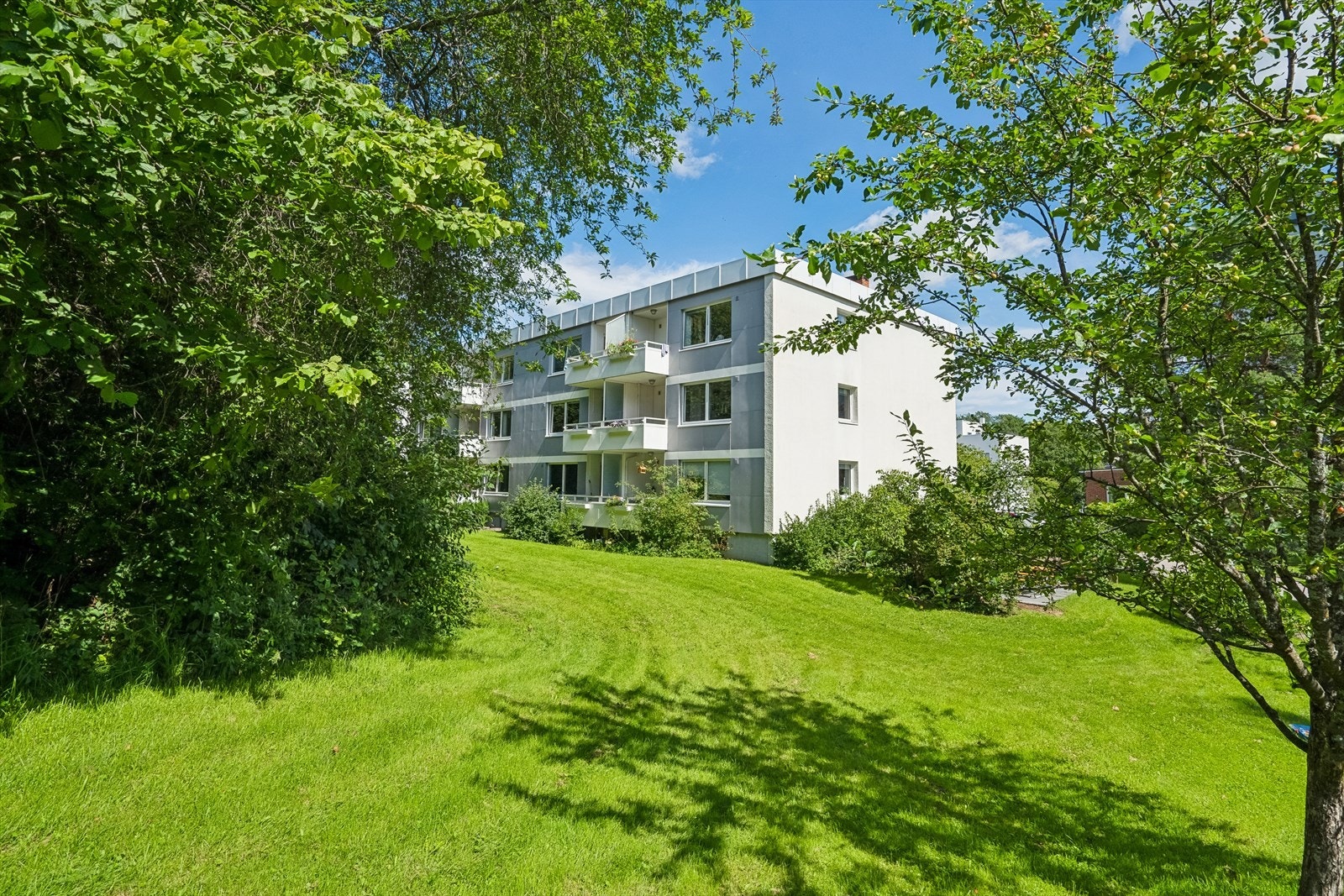 Fra boligen er det kort avstand til skoler, barnehager, offentlig kommunikasjon, dagligvarehandel, flotte friluftsområder, samt et rikt utvalg av servicetilbud og fasiliteter. Galleribilde
