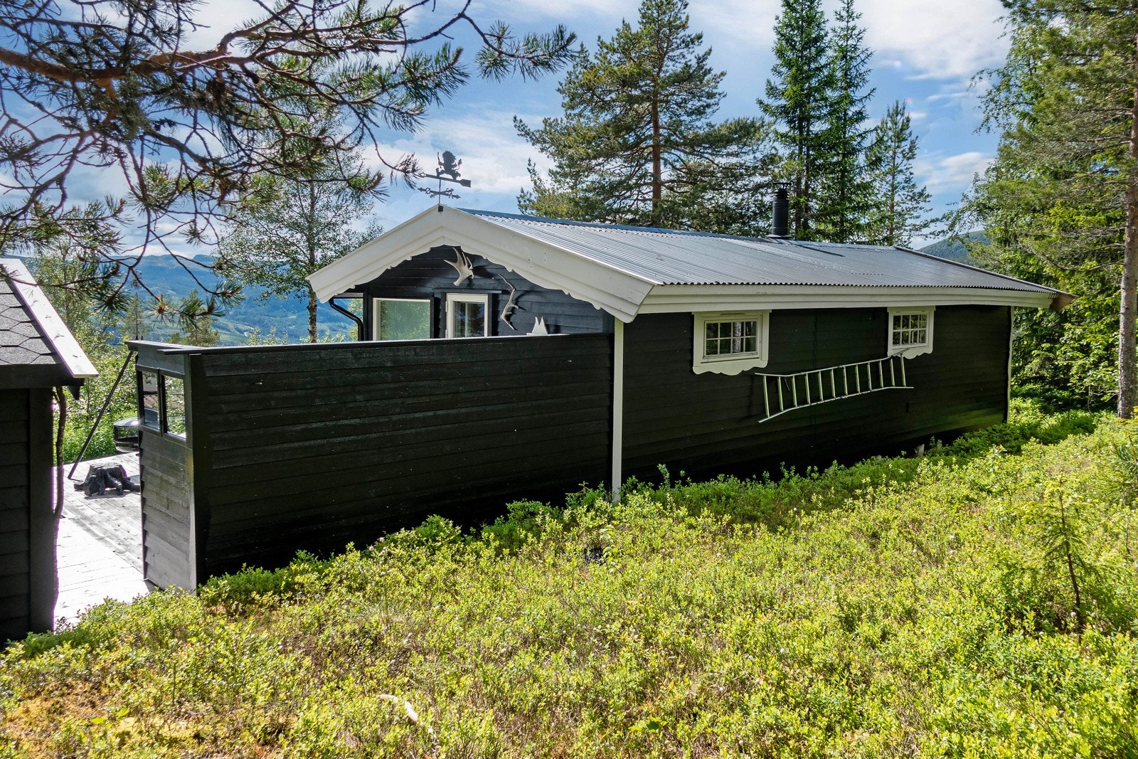 Med unntak av gårdsplass og et gruslagt areal består tomten av fjell, lyng, bjørk, nåletrær og annen stedlig vegetasjon. Galleribilde