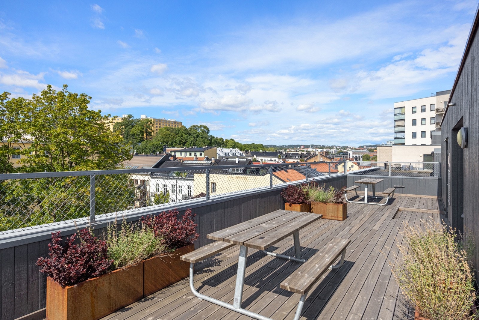 - Felles takterrasse - Galleribilde