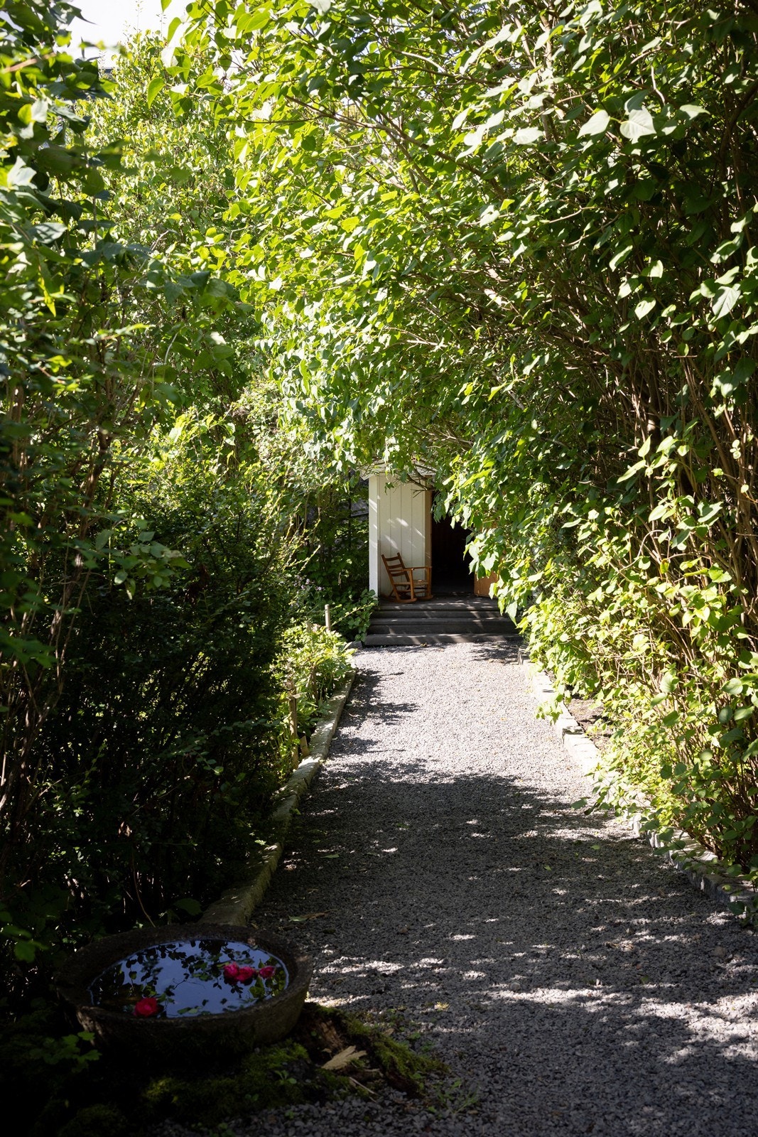 Hagemiljø Galleribilde