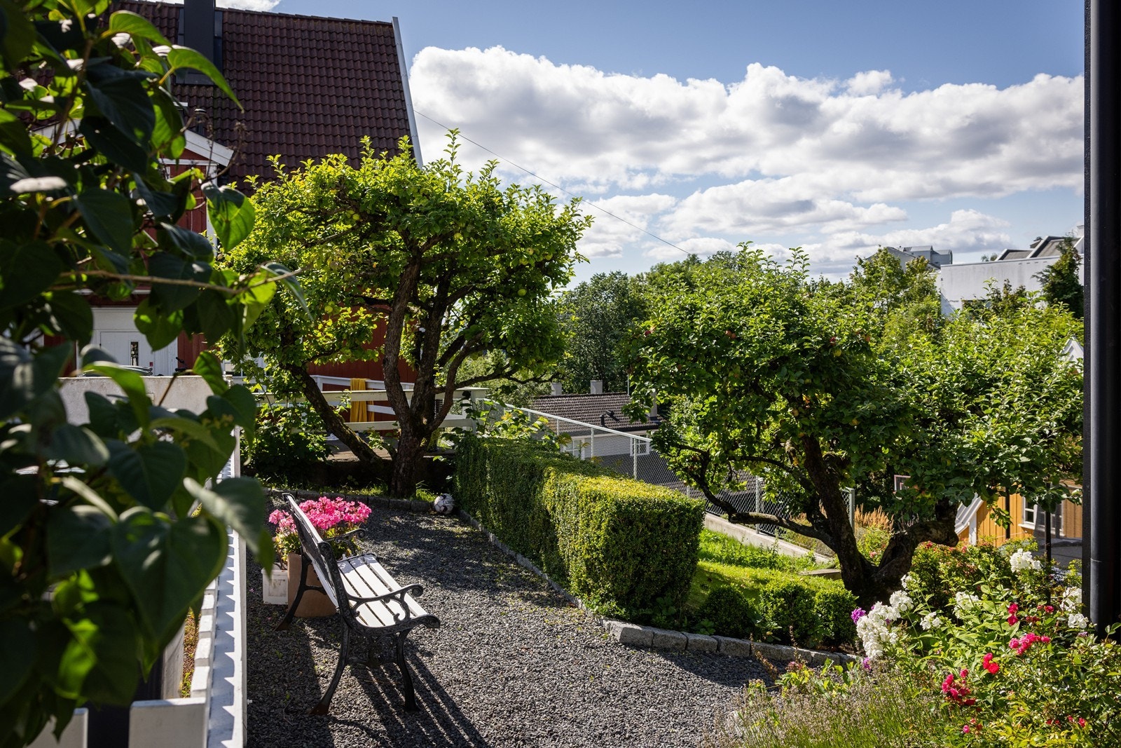 Parkmessig hage med sol og utsikt Galleribilde