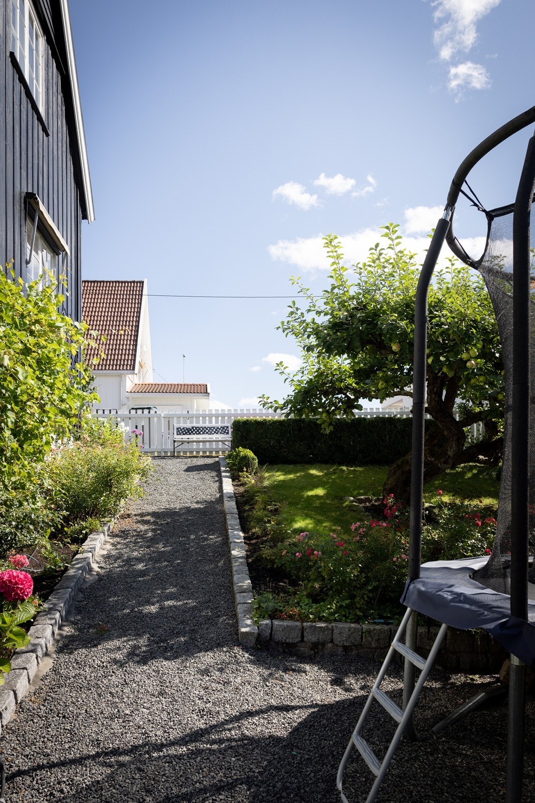 Perfekt plass for trampoline Galleribilde