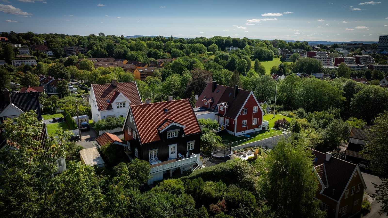 Flotte grønne omgivelser Galleribilde