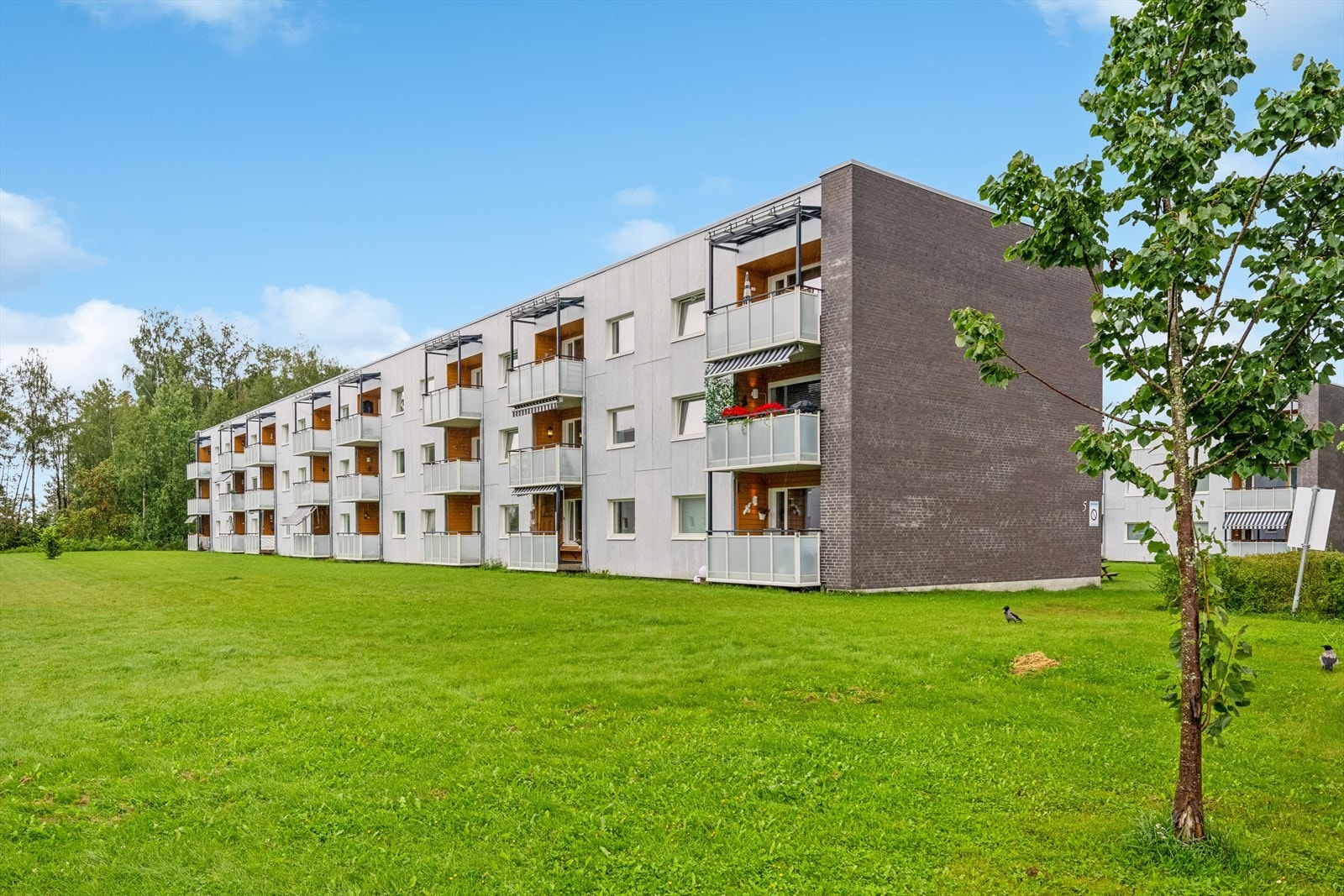 Fra leiligheten er det gangavstand til skoler, barnehage, kollektivtilbud, butikker og flotte rekreasjonsmuligheter sommer som vinter. Galleribilde