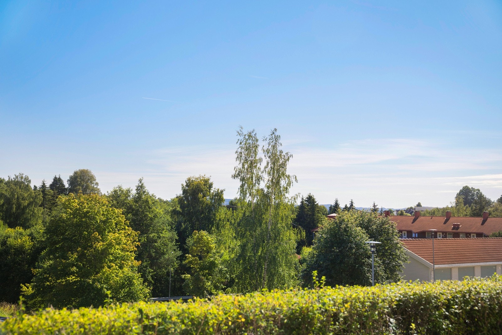 Flott utsikt fra markterrassen over nærområdet Galleribilde