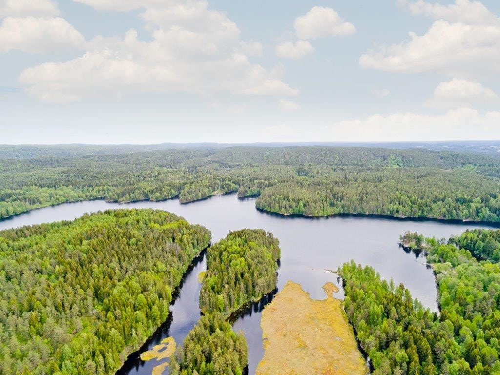 Østmarka med Nøklevann sett nordfra Galleribilde