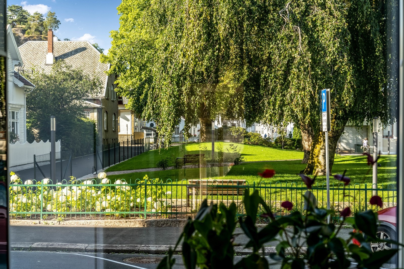 Direkte nærhet til en grønn og nydelig park. Galleribilde