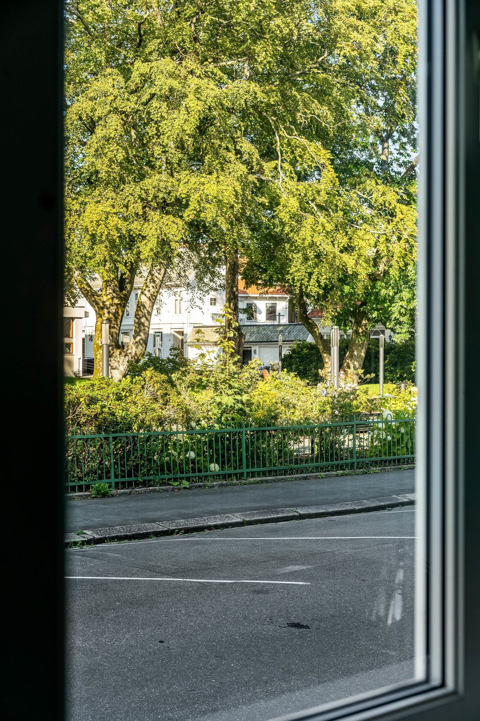 Utsikt til en grønn og frodig park. Galleribilde