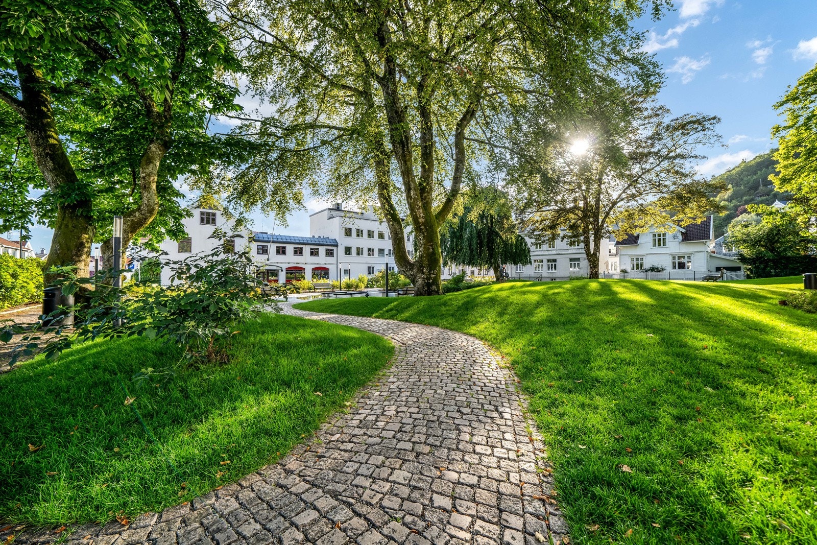 Nyt stillheten i en ellers aktiv og innholdsrik bykjerne. Galleribilde