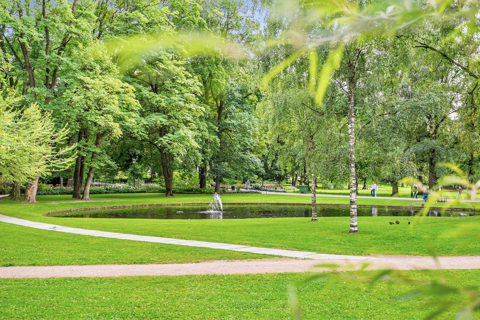 Nærområdet. Galleribilde