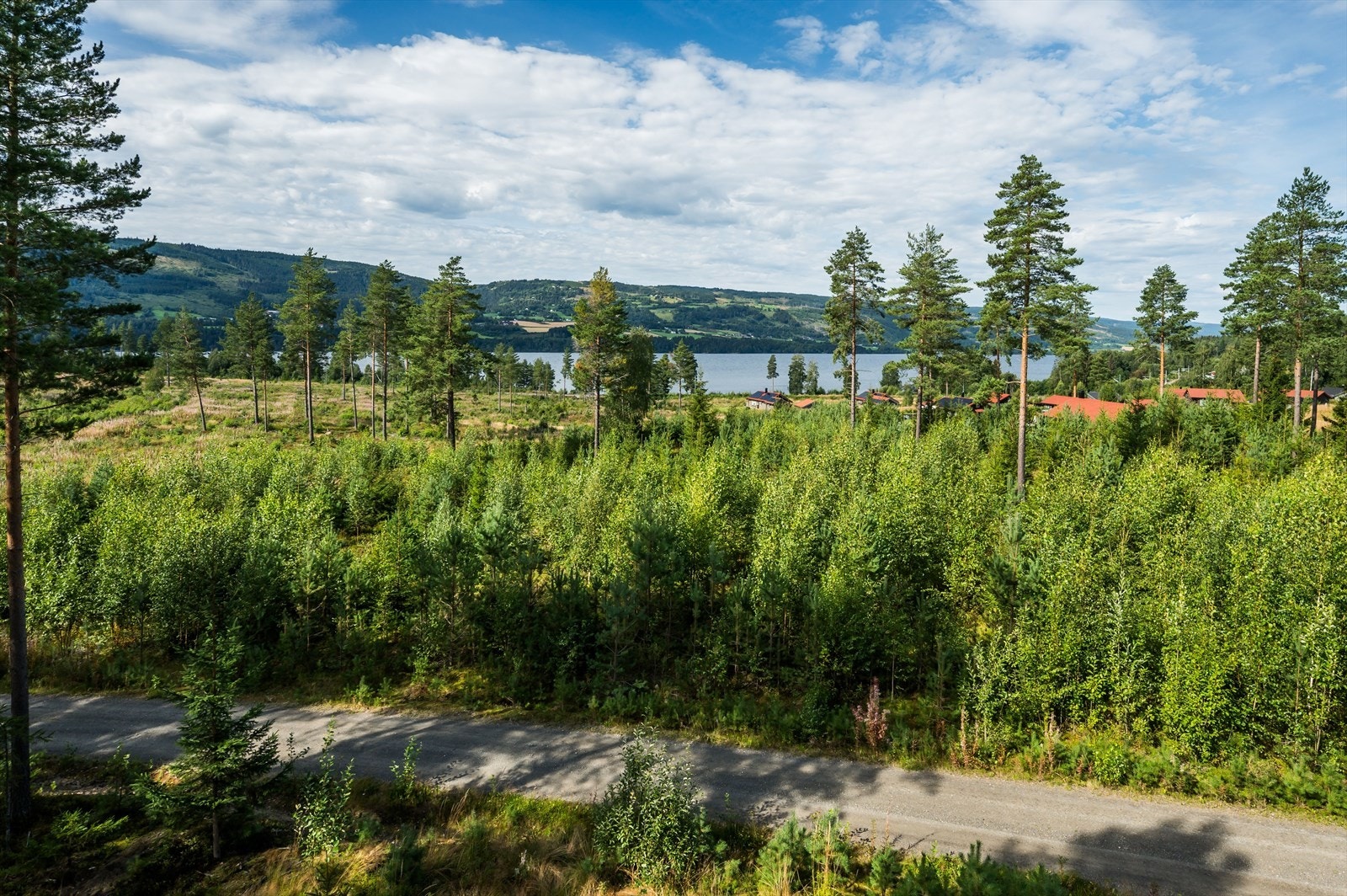 Bilde av tomta / utsikt. Galleribilde