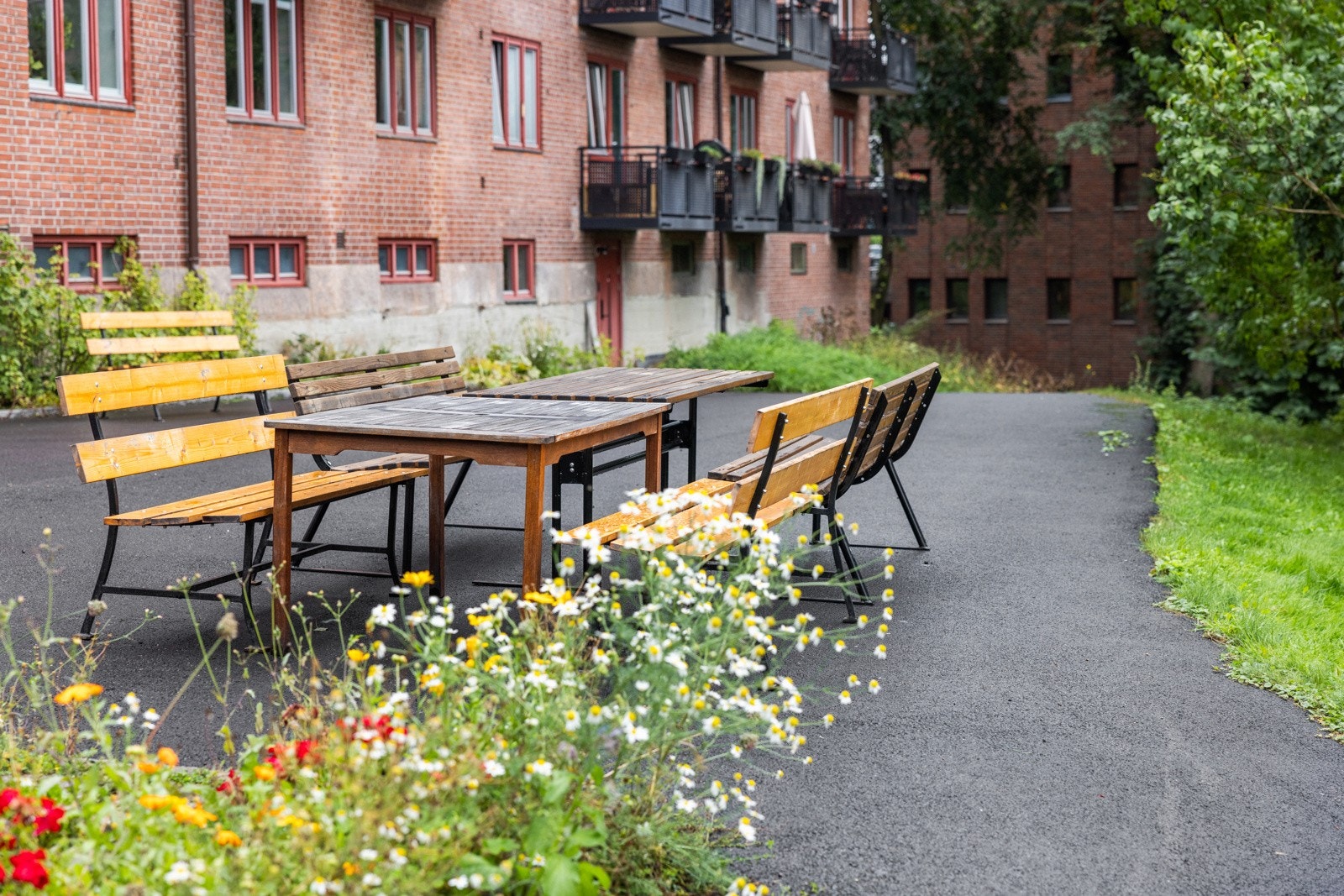Egen hagegruppe i borettslaget som steller med grøntarealet og parseller som alle kan bruke. Galleribilde