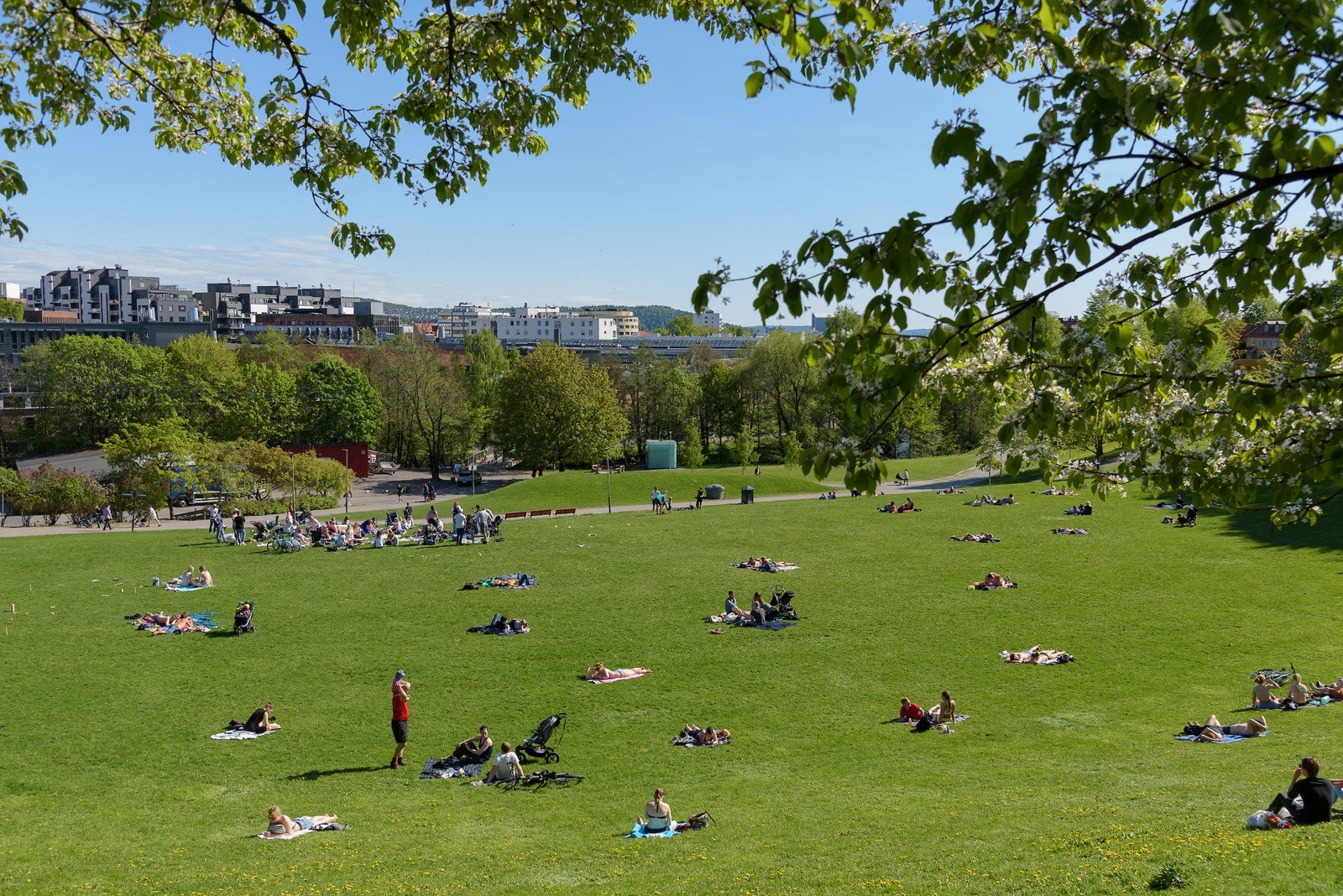 Borettslaget grenser mot parkanlegget Myrerløkka. Galleribilde