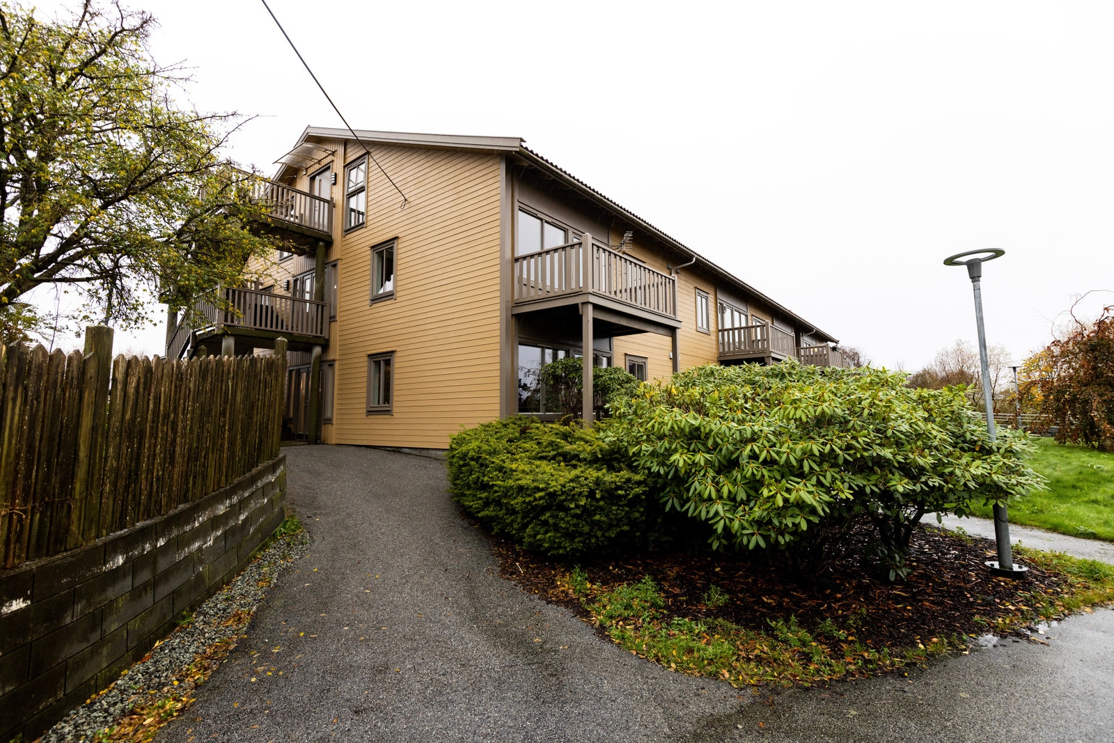 Hyggelig hage/uteområder med beplantning. Galleribilde