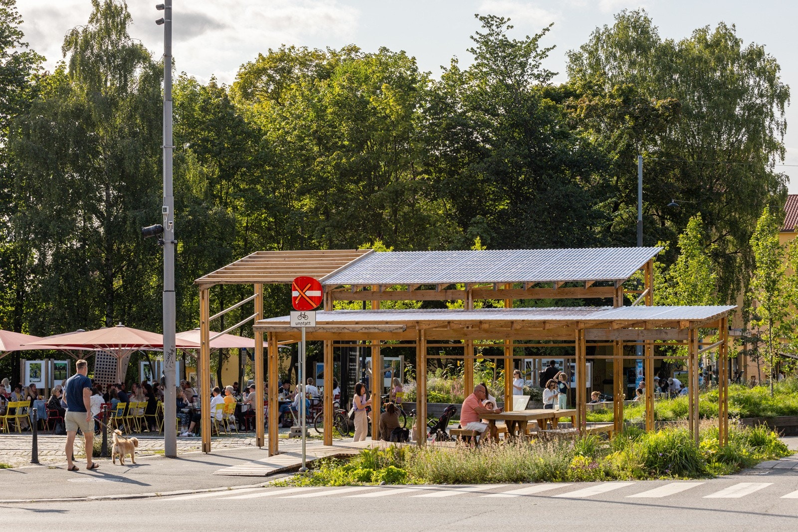 Områdebilde. Galleribilde