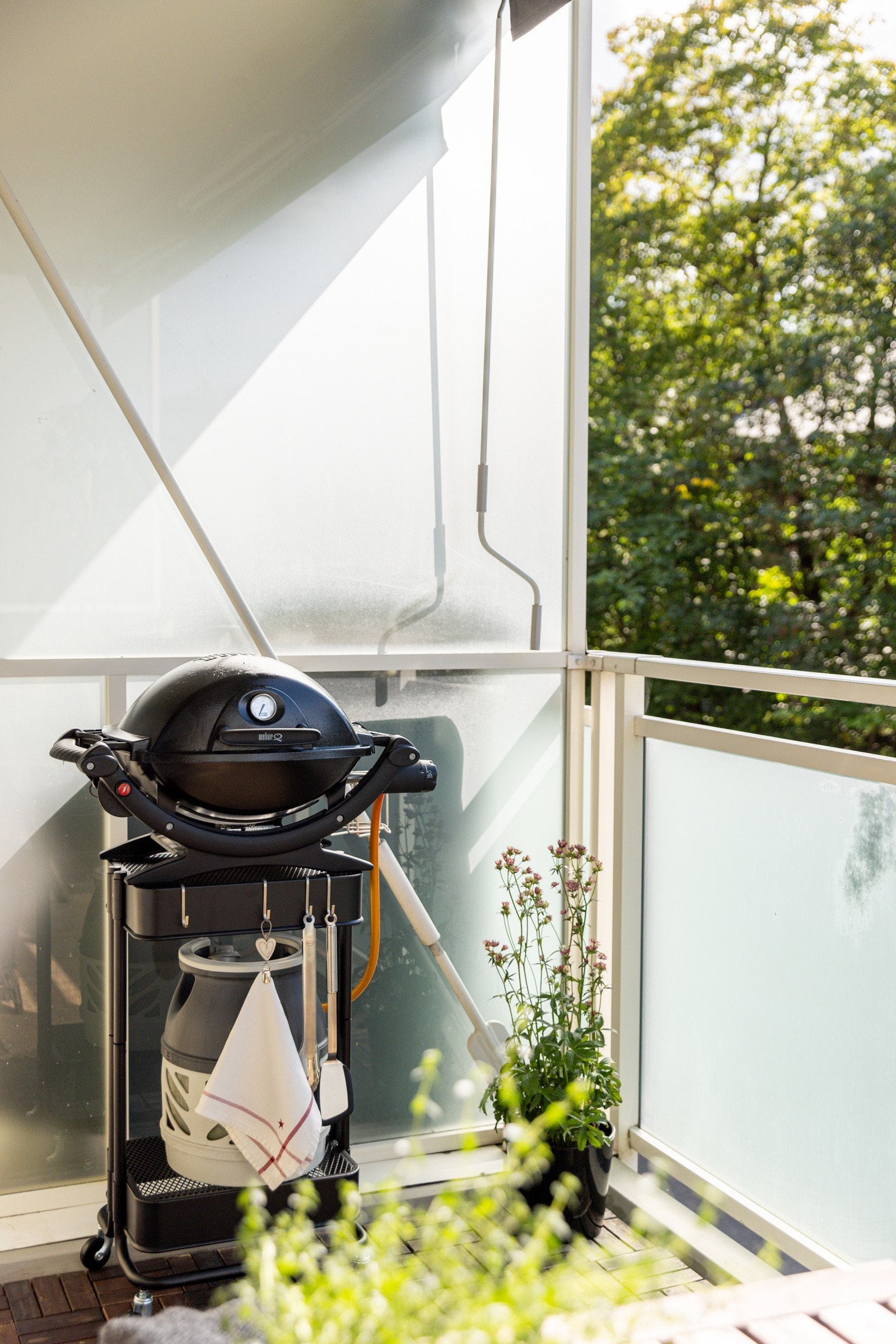 Det er tillatt med gass- eller elektrisk grill. Galleribilde