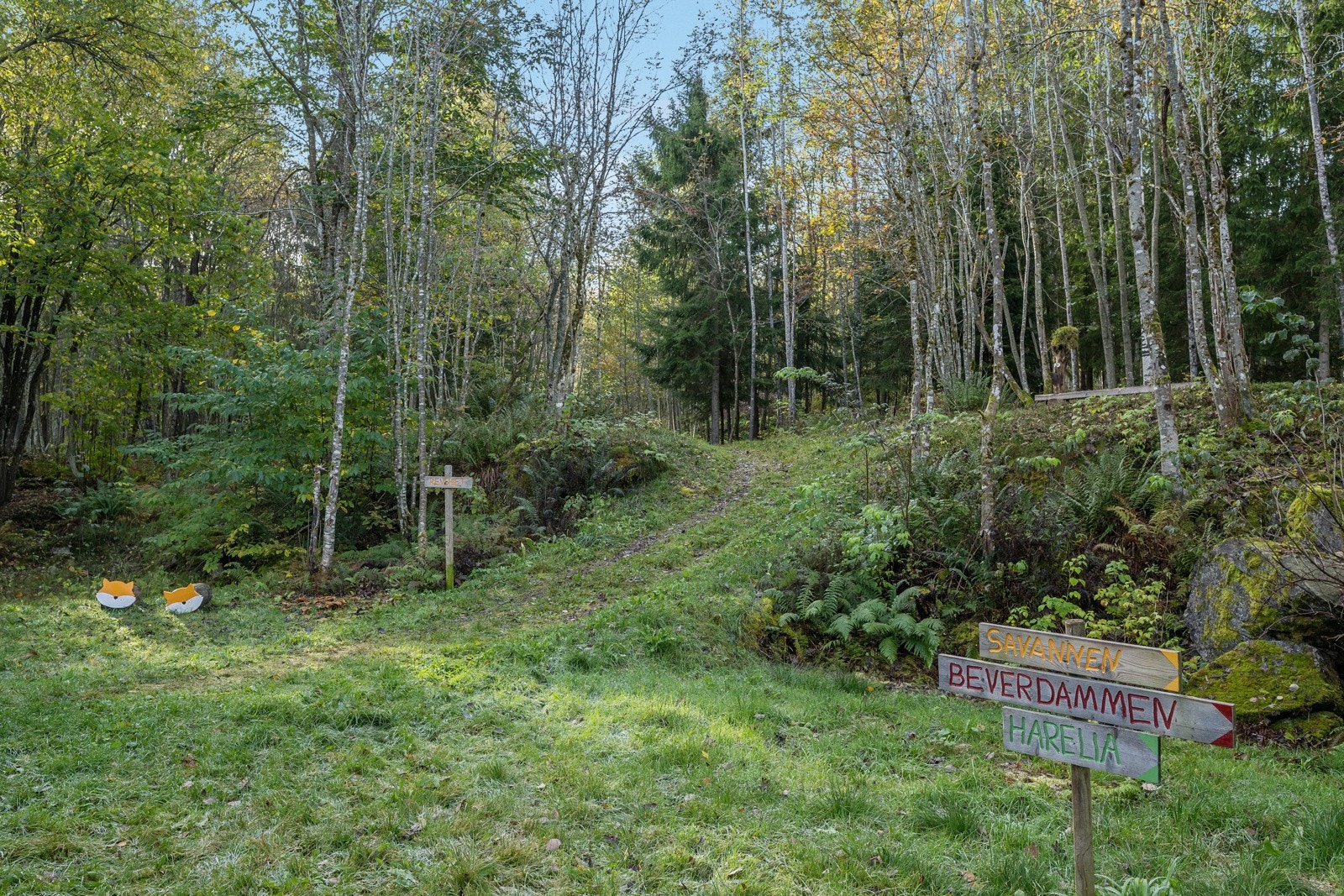 Sundbyfoss byr på eventyrskogen med spennende installasjoner langs turstiene. Dette er noe de minste setter stor pris på! Galleribilde