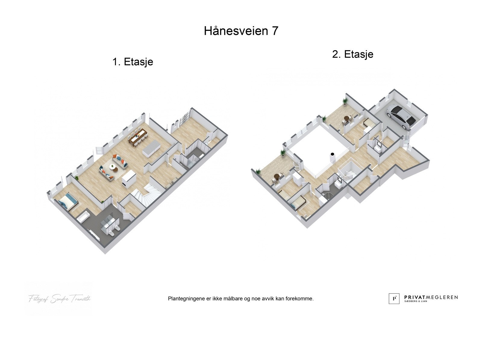 Plantegning 3D Galleribilde