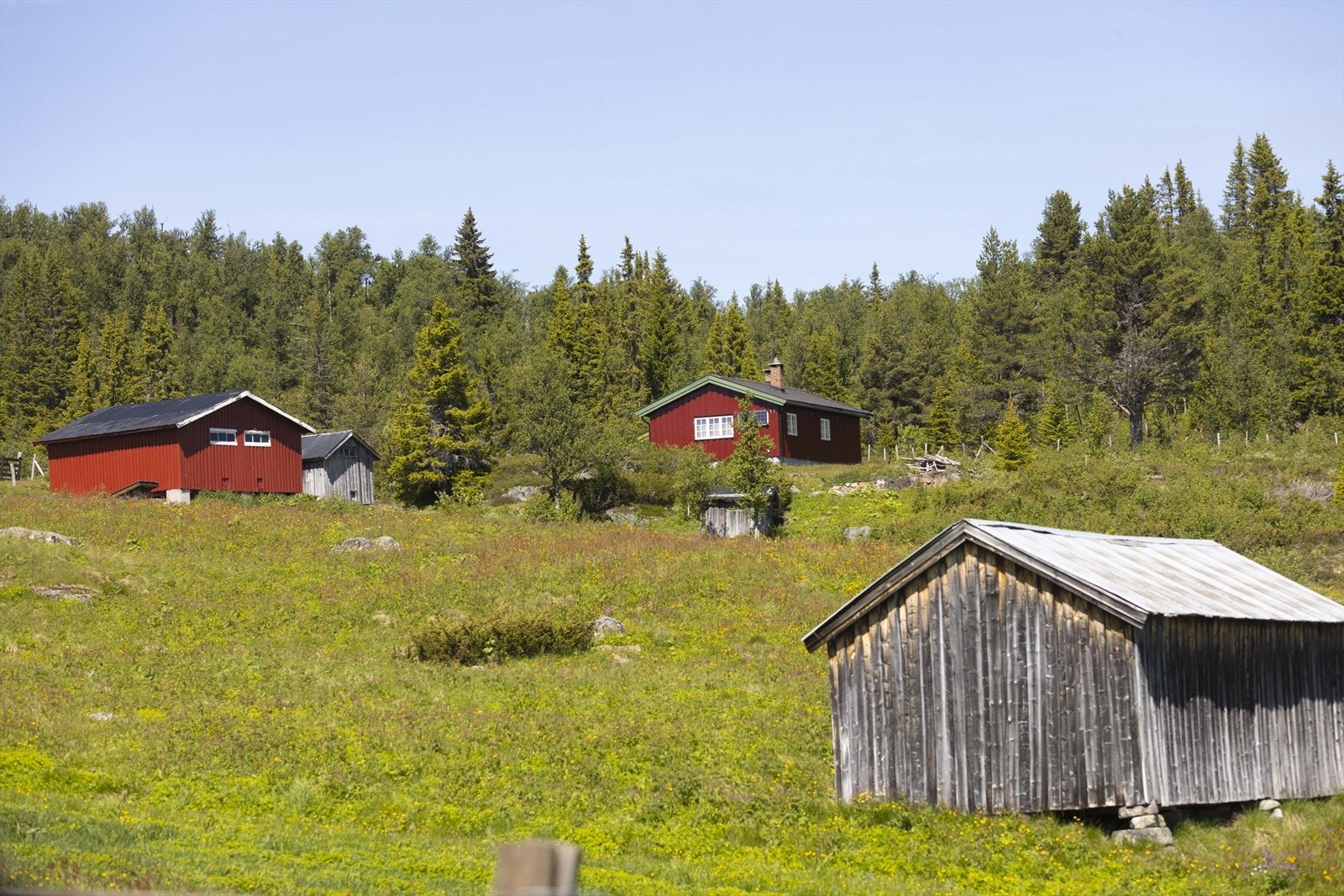 Kort vei til stølsliv på sommerstid. Galleribilde