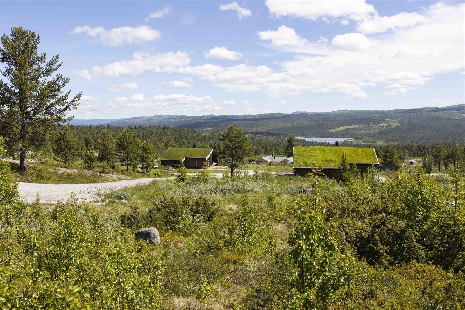 Området rundt består av vakker høyfjellsnatur Galleribilde