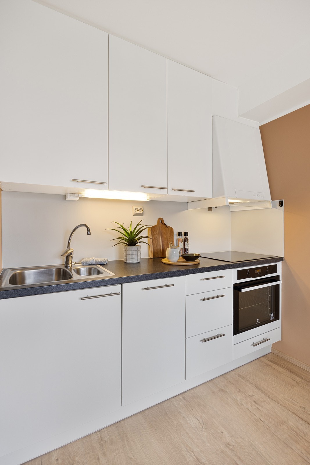 Kjøkken har Blum innredning med glatte fronter. Galleribilde