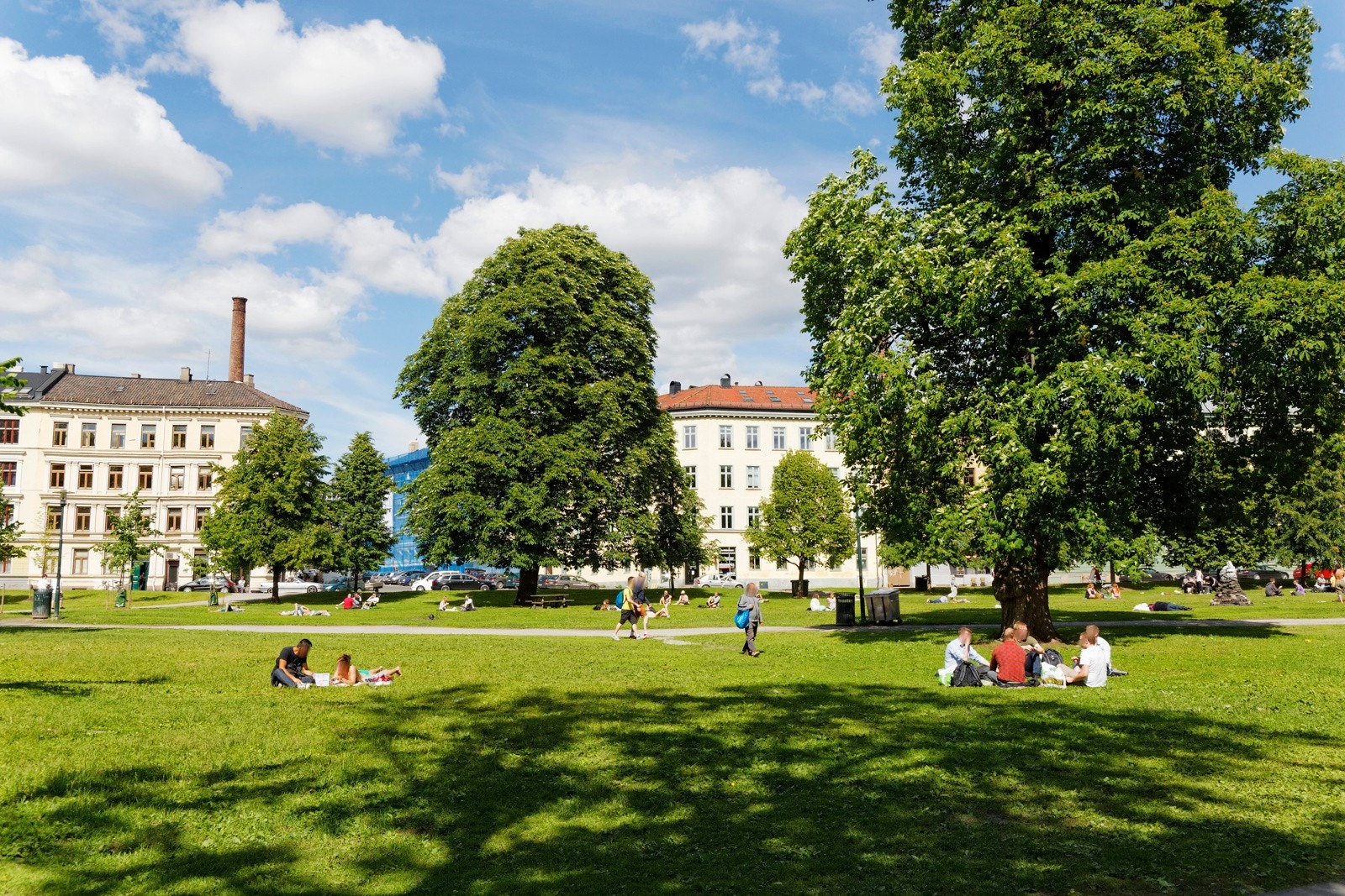Området er preget av mange parker og grønne lunger, som gir enkel tilgang på utendørs hygge og trening. Birkelunden og Sofienbergparken ligger i umiddelbar nærhet Galleribilde