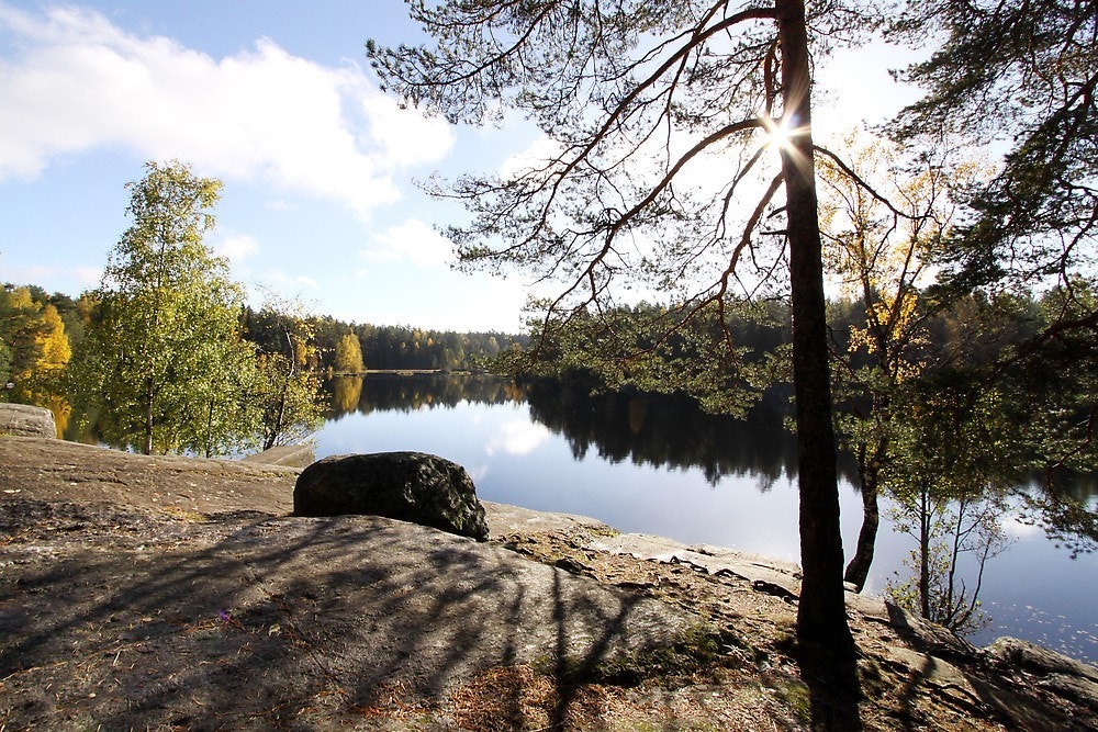 Ulsrudvannet. Galleribilde