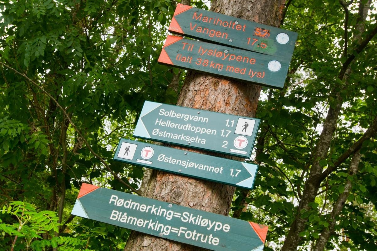 Østmarka og lysløypene er kun noen min fra leiligheten. Galleribilde
