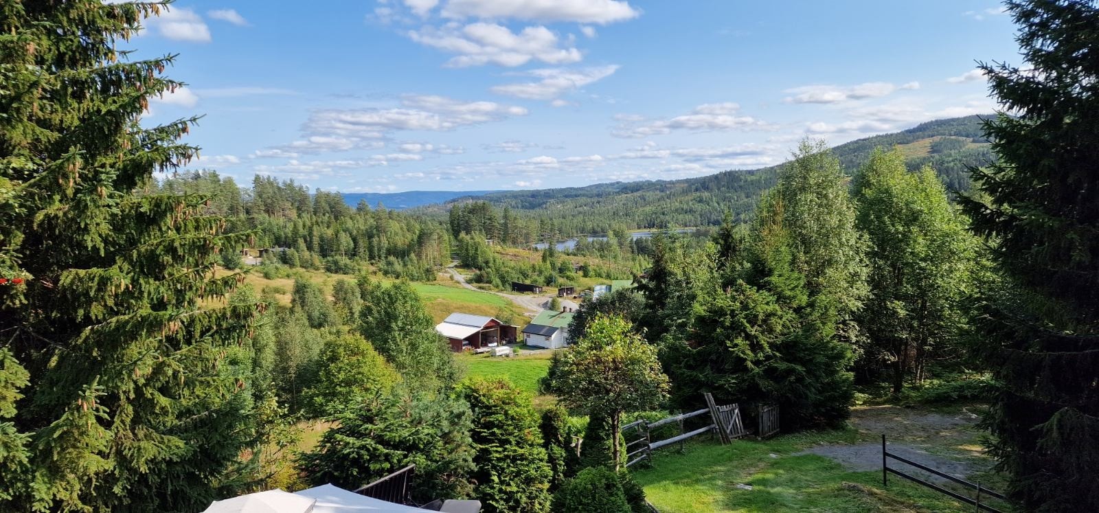 Bilde tatt fra eiendommen Galleribilde