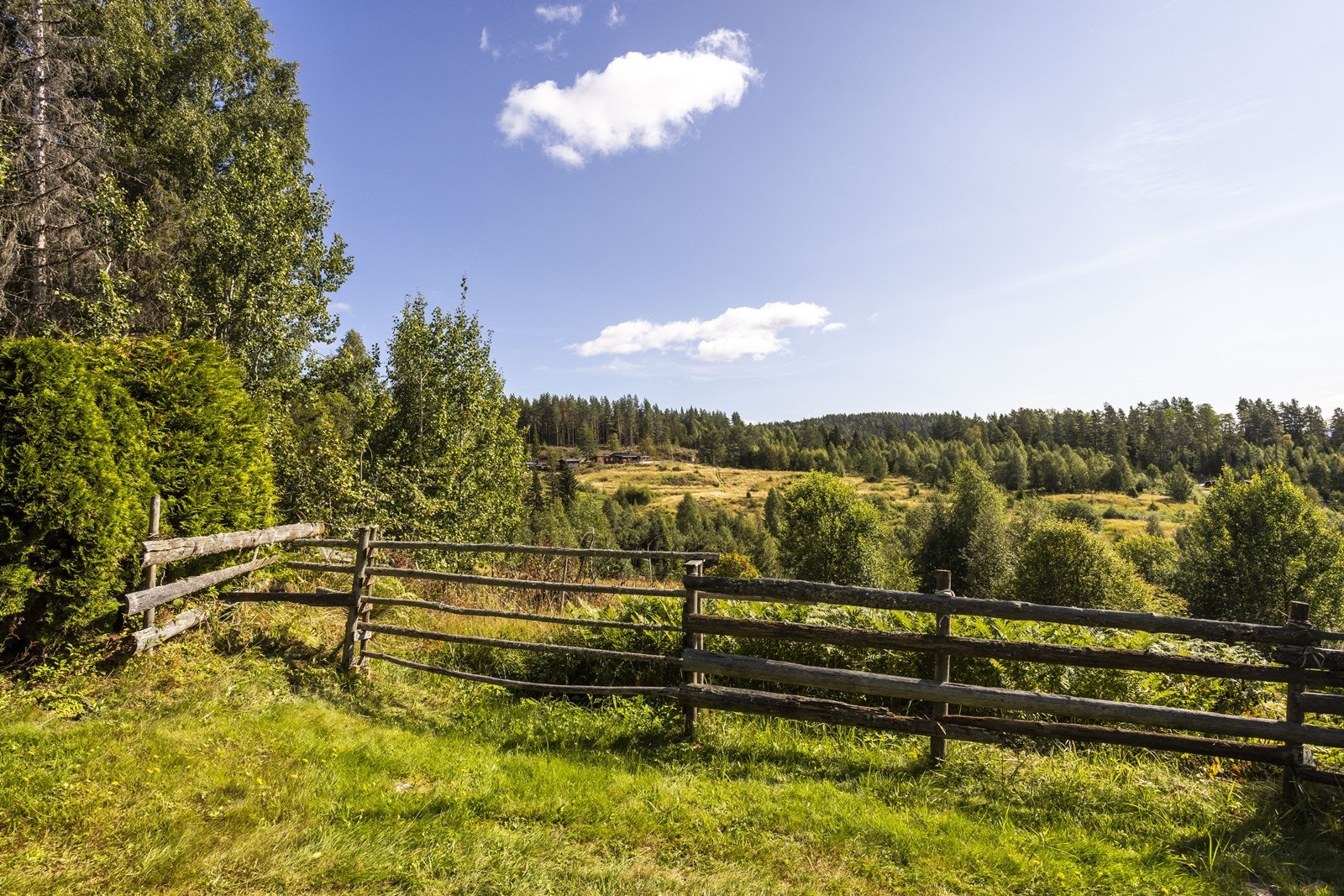 Hytta ligger skjermet til i landlige omgivelser. Galleribilde