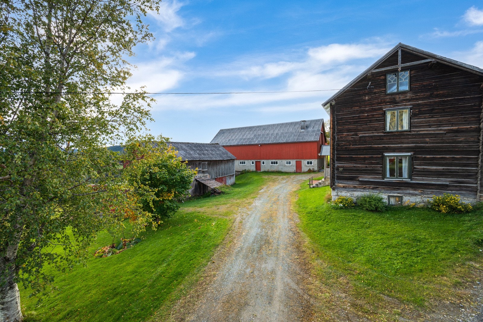 Innkjørsel til gårdstun. Galleribilde