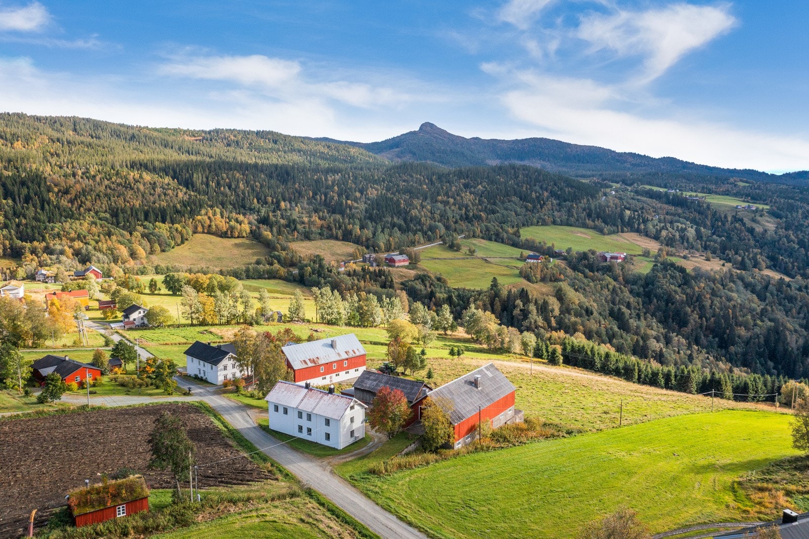 Gårdstun Galleribilde