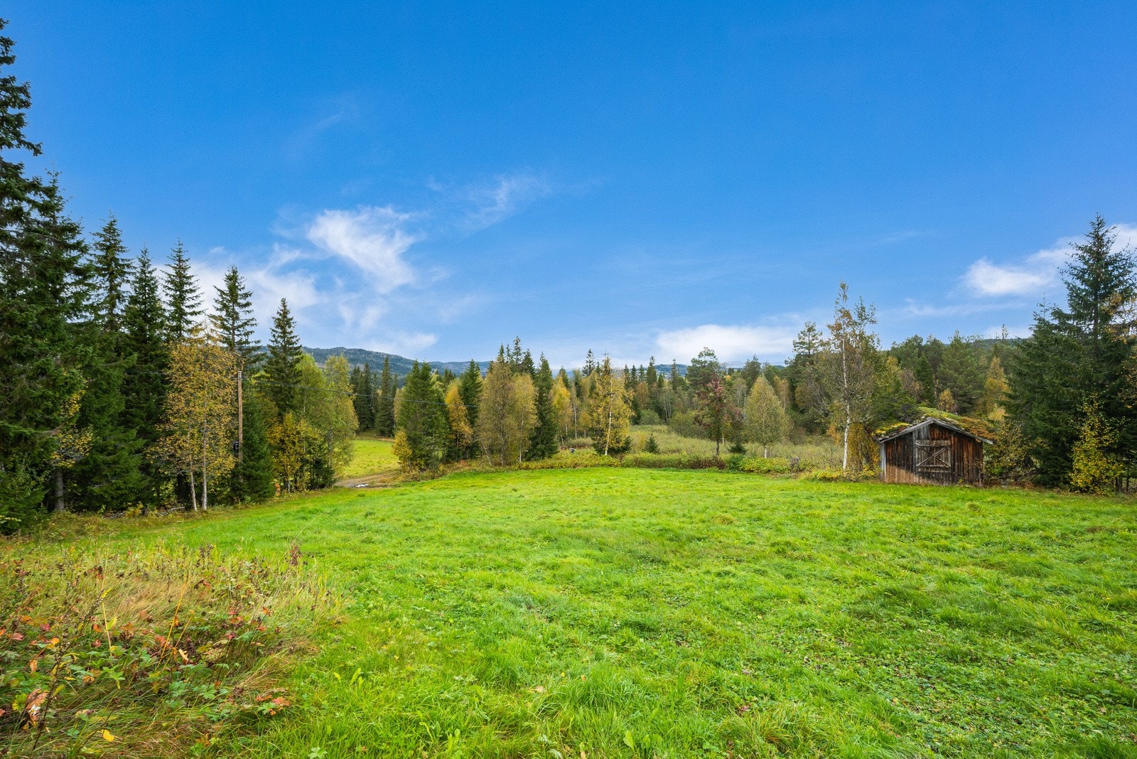 Enoddveien 1022 Galleribilde