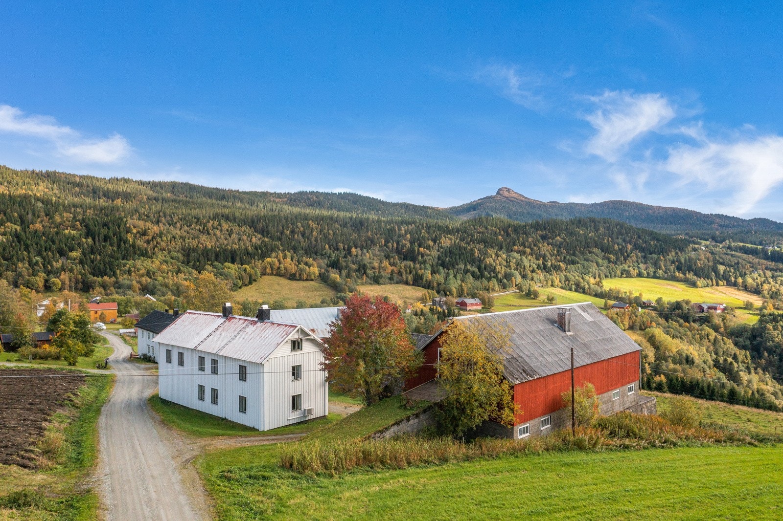 Gårdstun Galleribilde