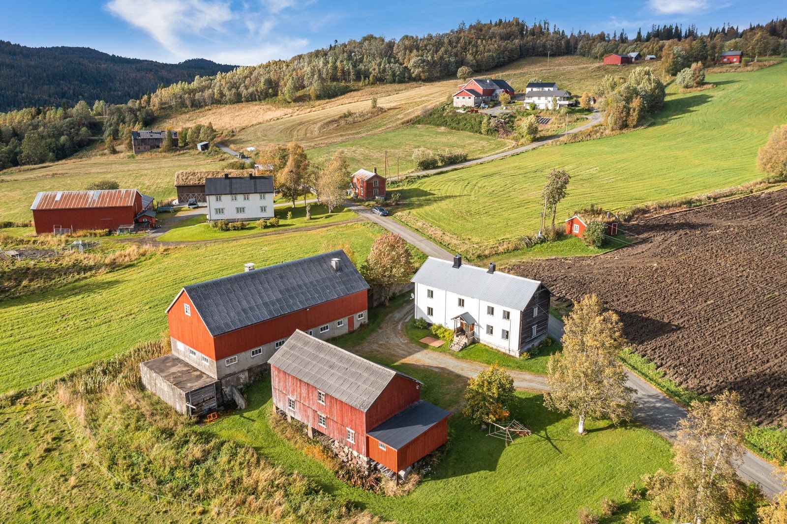 Gårdstun Galleribilde