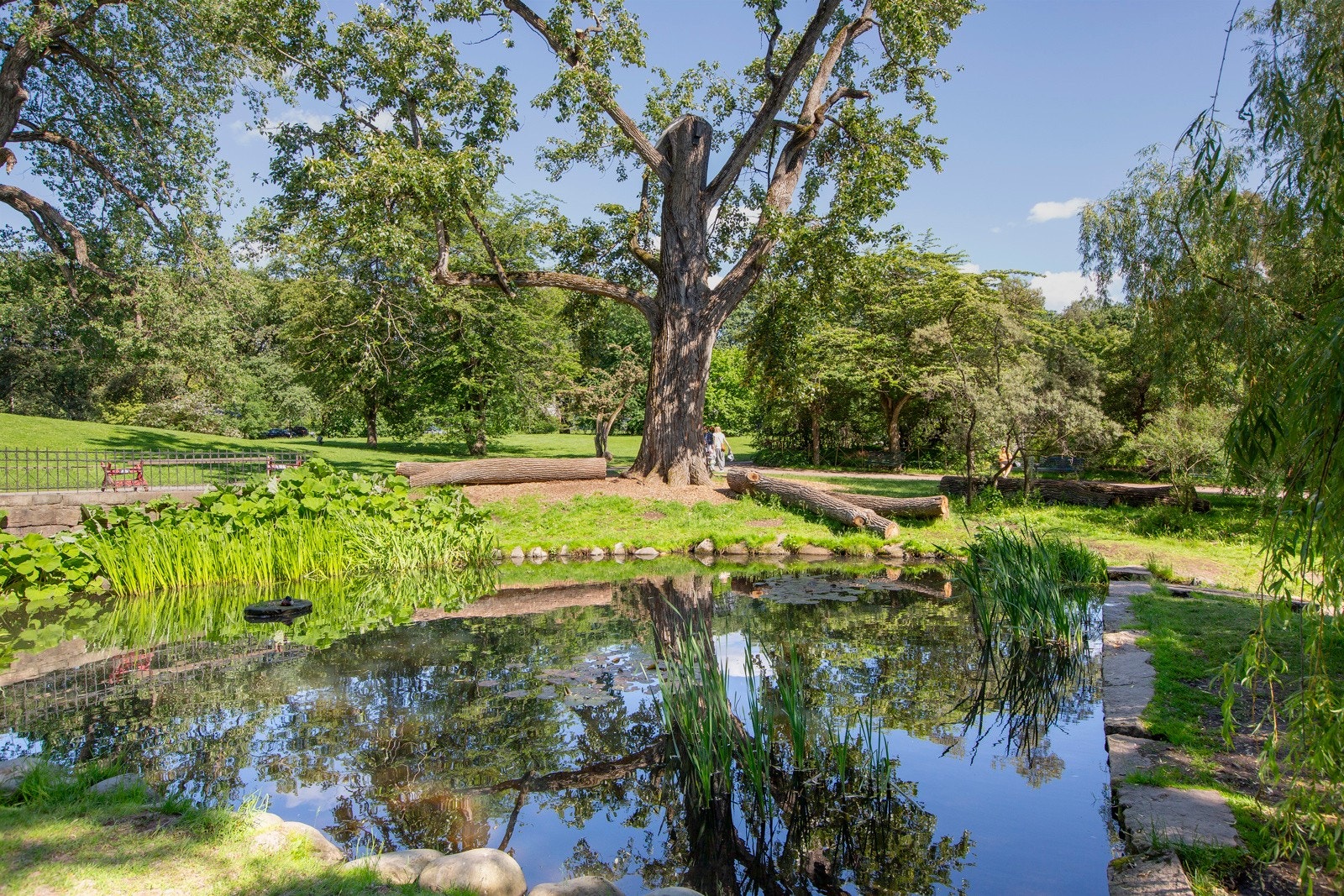 Botanisk hage finner man rett i nærheten. Galleribilde