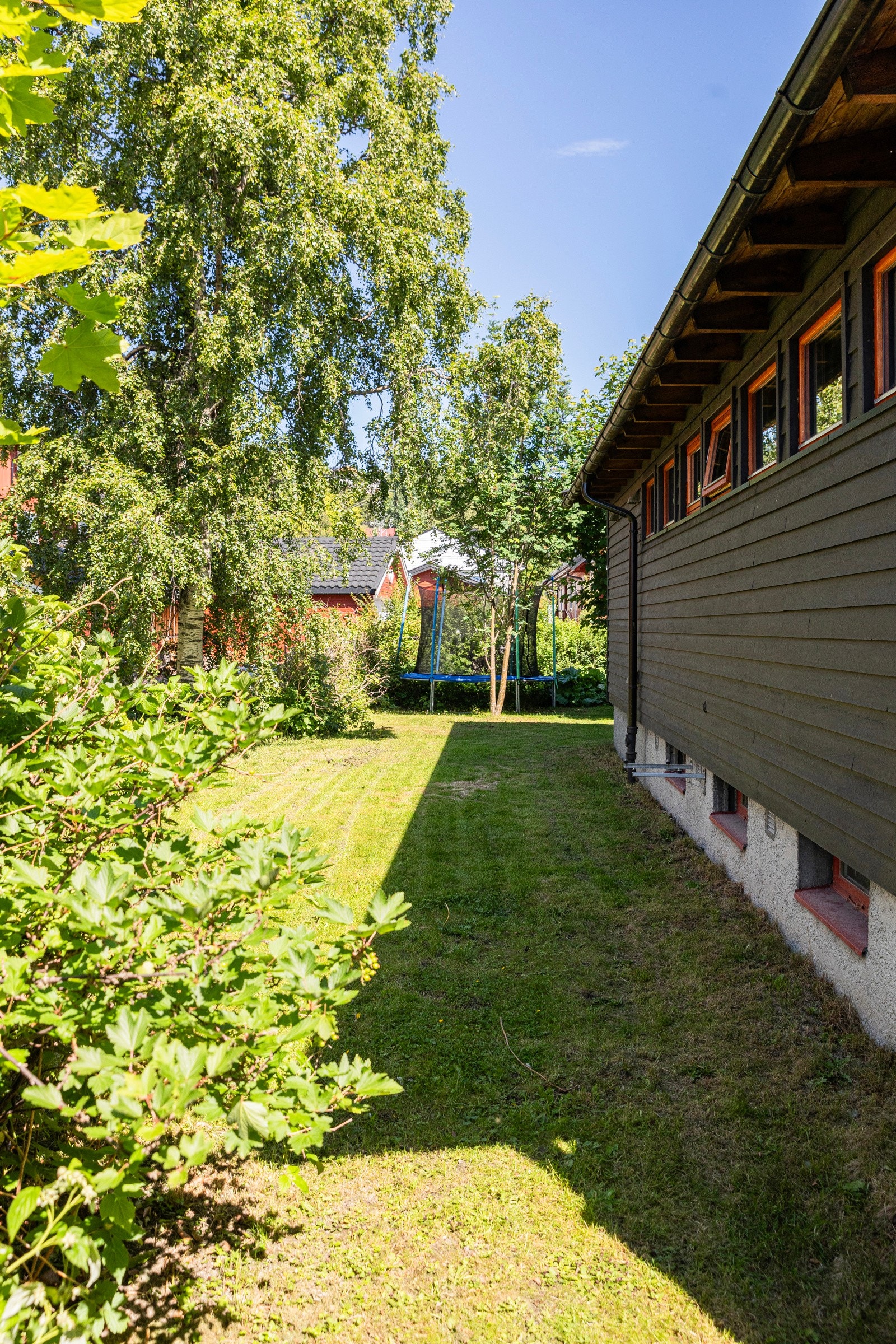 Hagen inneholder en rekke ulike bærbusker, som bringebær, rips og rabarbra. Galleribilde