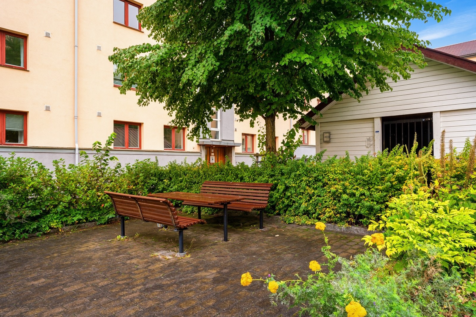 Hyggelig, felles uteområde med sittegrupper, beplantning og gressplen. Galleribilde