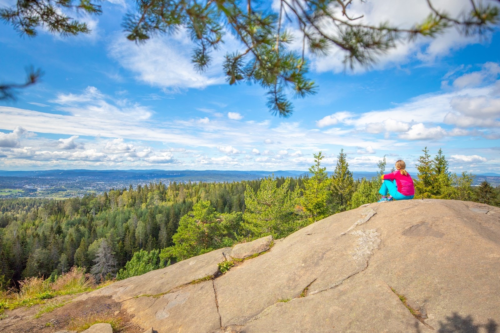 Bjønnåsen. Galleribilde