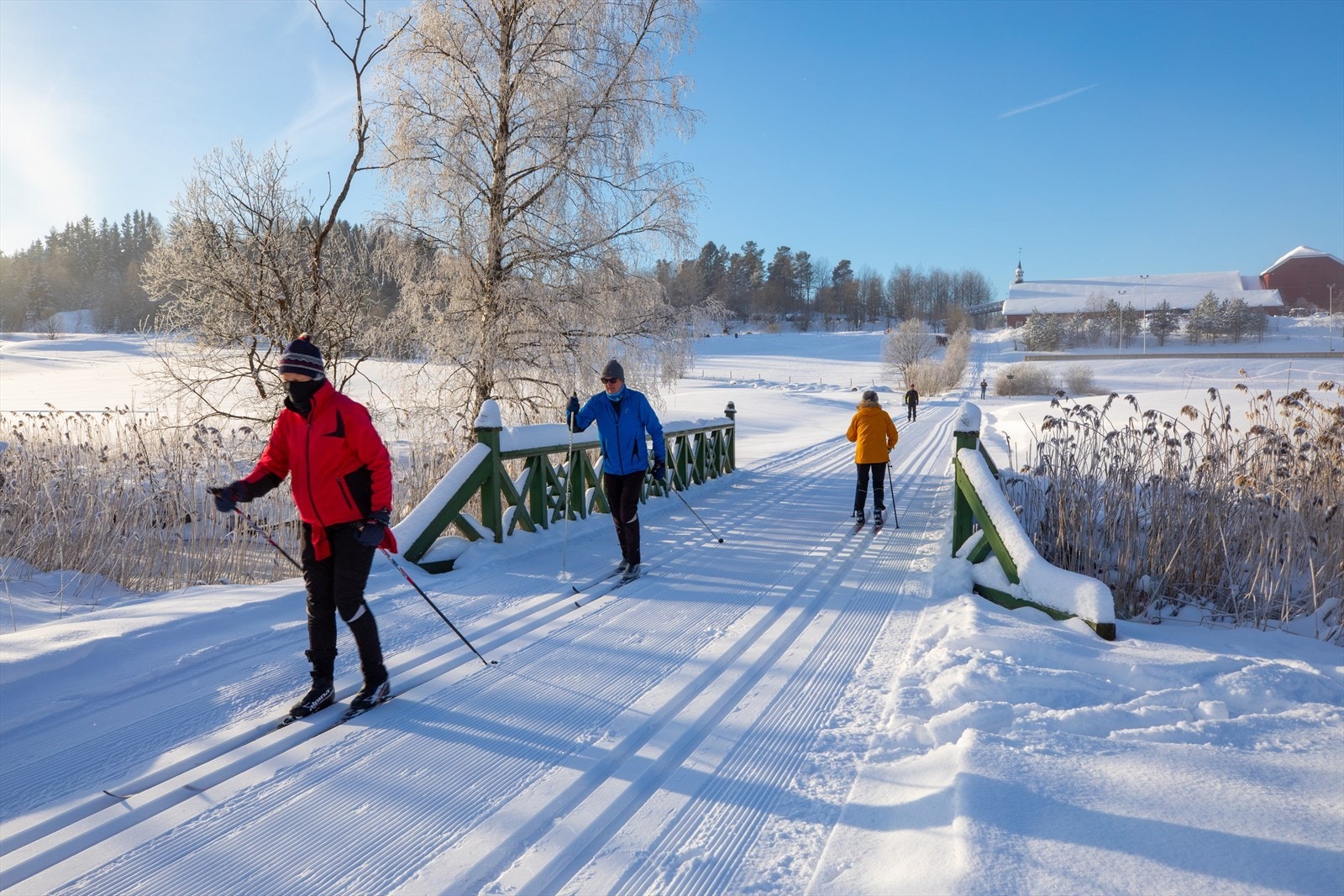 Skiløyper helt fra Kurland inn til Losby og videre innover i marka. Galleribilde