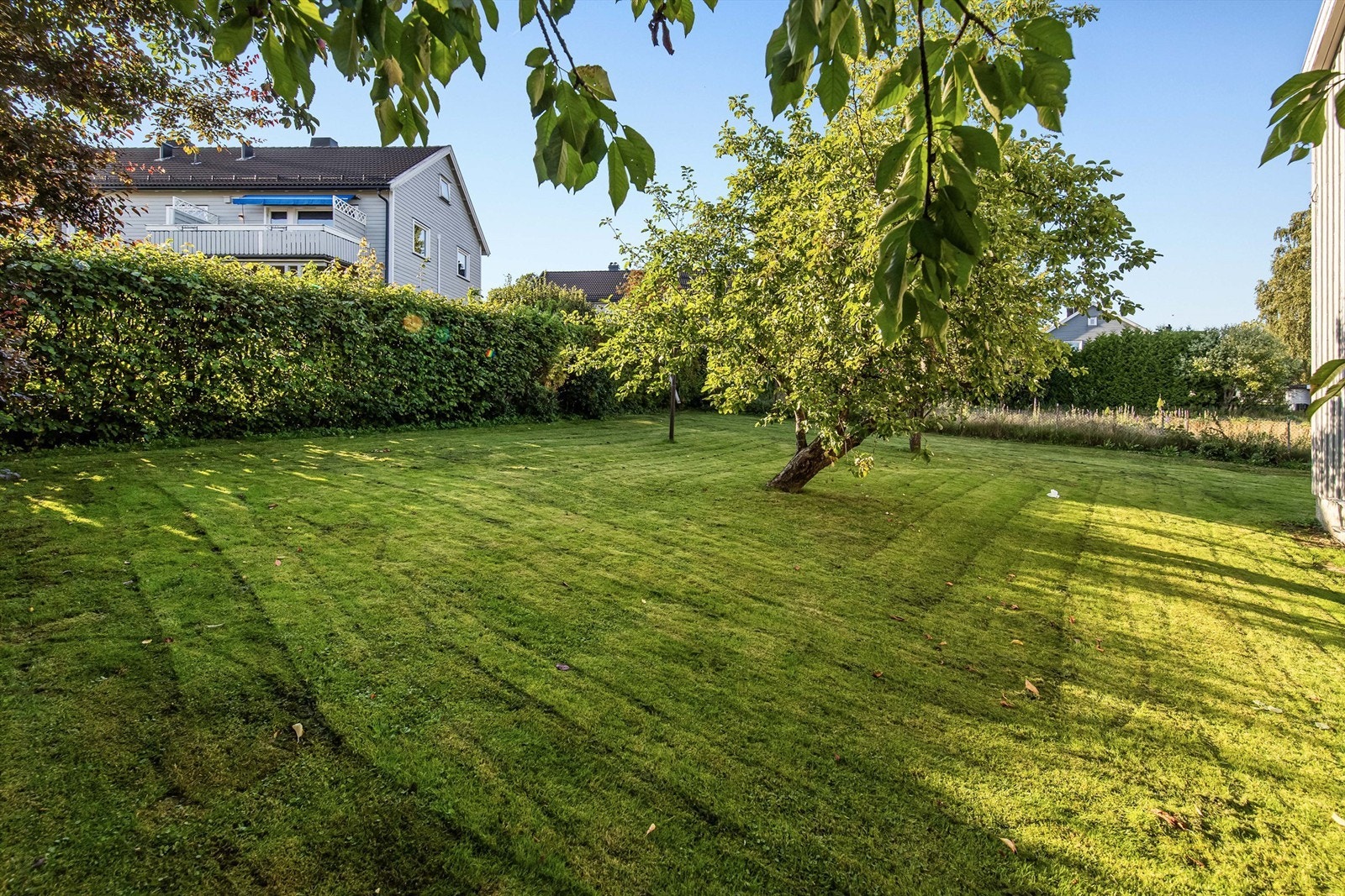 Eiertomt på 964 kvm som tilhører sameiet. Tomten er fellesareal og er pent opparbeidet med gressplen noe trær og busker samt stor gårdsplass. Her er det rikelig med boltreplass. Galleribilde