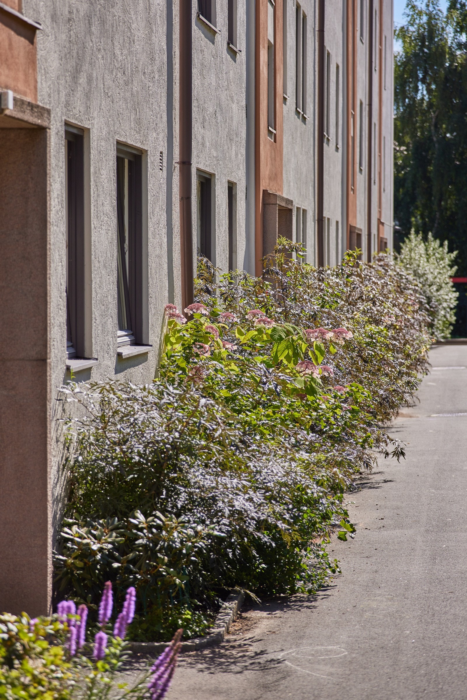 Pent opparbeidet med diverse beplantning. Galleribilde