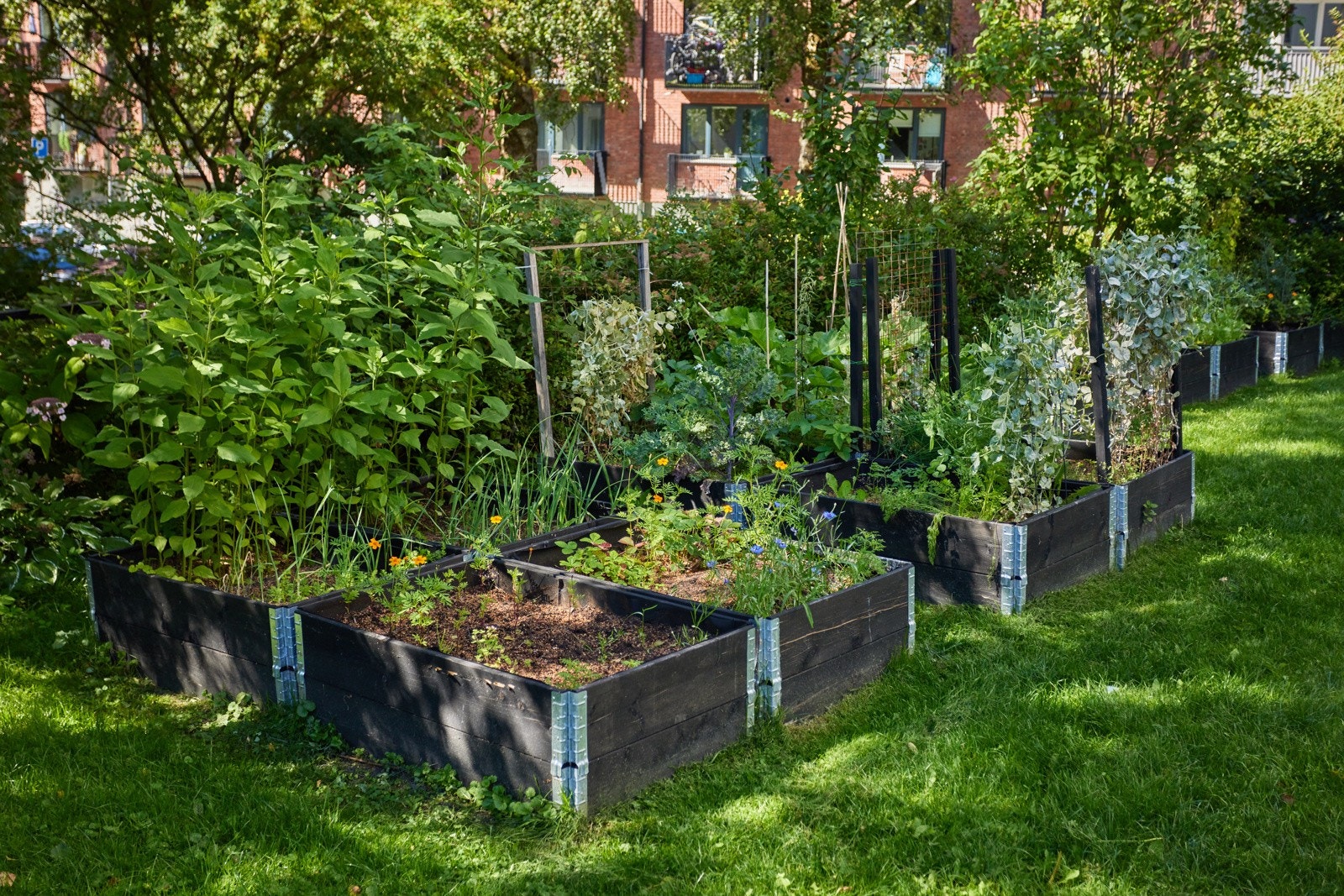 Noe for de med litt ekstra grønne fingre. Galleribilde