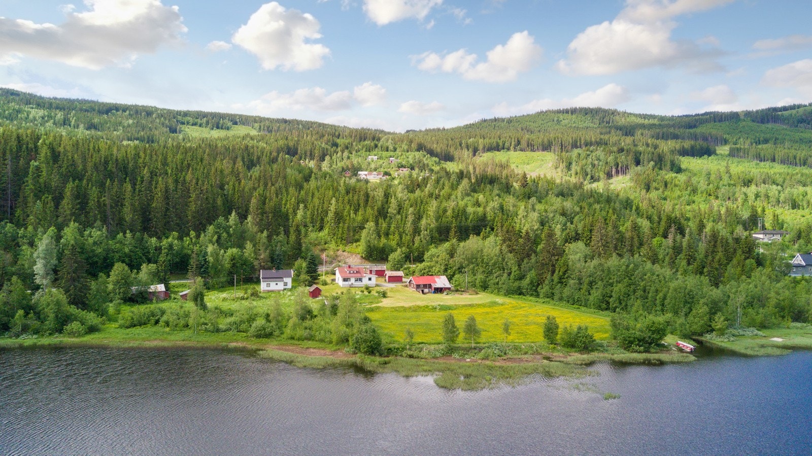 Randsfjorden/Dokkadeltaet byr på et rikt fugleliv, og masse fine muligheter for f.eks fisking, kanopadling, bading etc. Galleribilde